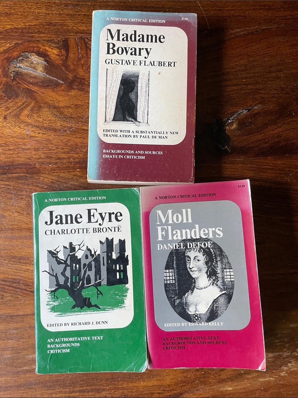 3 Norton Critical Edition Books: Jane Eyre, Moll Flanders, Madame Bovary